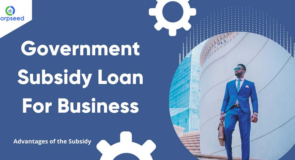 Government Loan